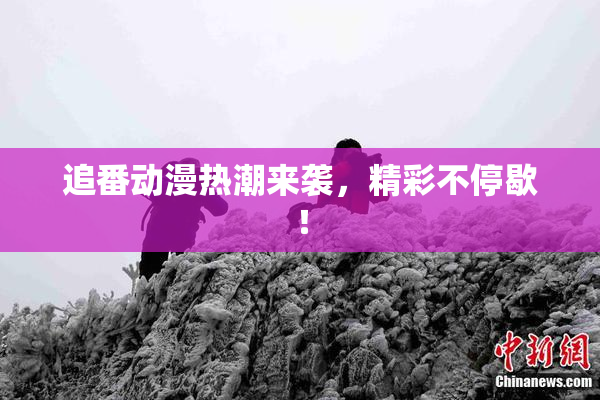 追番动漫热潮来袭，精彩不停歇！