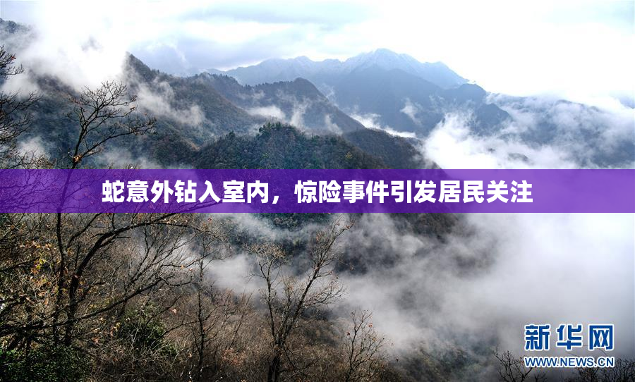蛇意外钻入室内，惊险事件引发居民关注