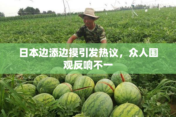 日本边添边摸引发热议，众人围观反响不一