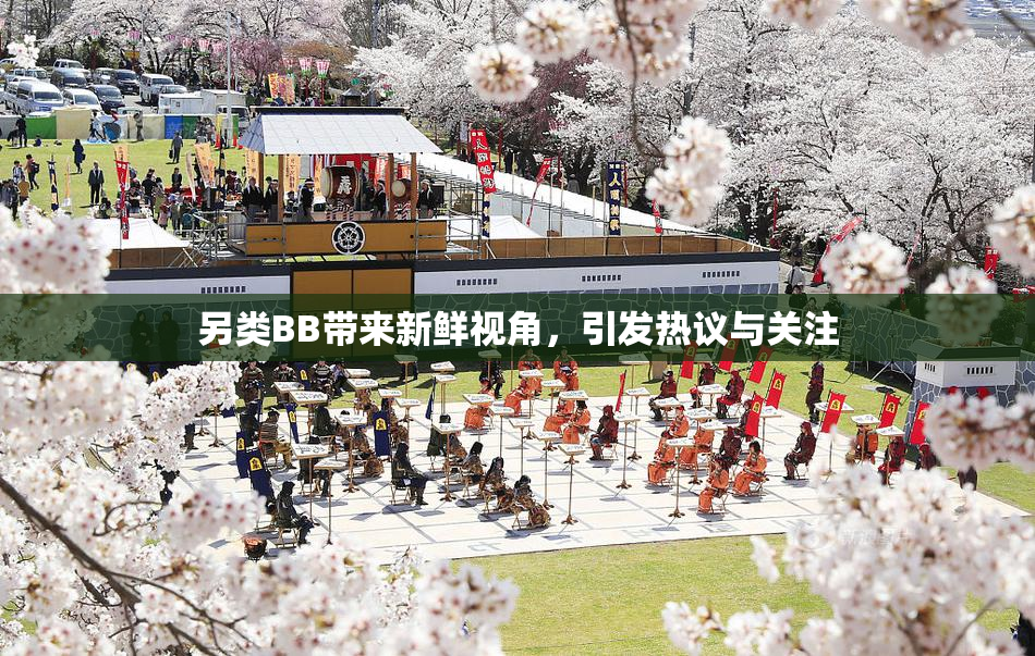 另类BB带来新鲜视角，引发热议与关注