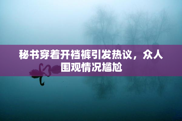 秘书穿着开裆裤引发热议，众人围观情况尴尬