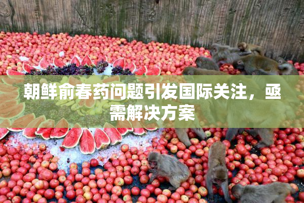 朝鲜俞春药问题引发国际关注，亟需解决方案