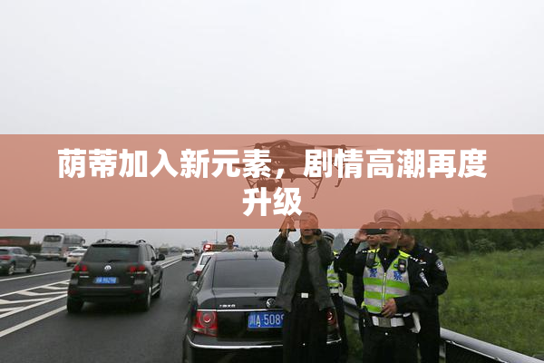 荫蒂加入新元素，剧情高潮再度升级