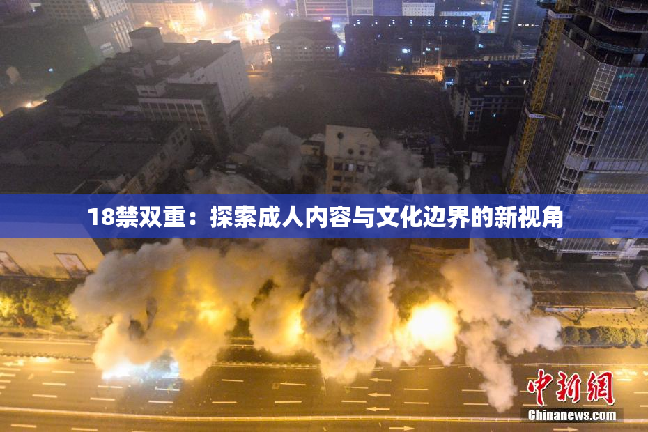 18禁双重：探索成人内容与文化边界的新视角