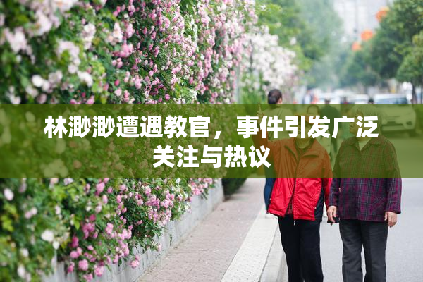 林渺渺遭遇教官，事件引发广泛关注与热议