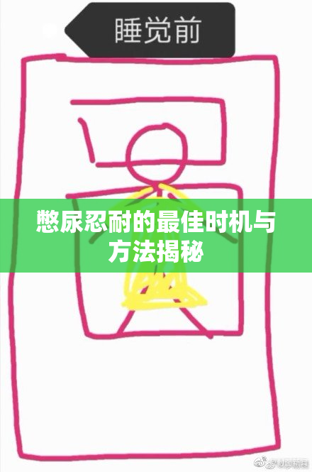 憋尿忍耐的最佳时机与方法揭秘