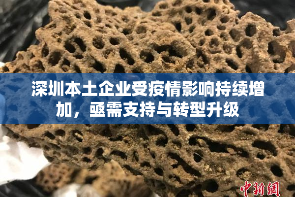 深圳本土企业受疫情影响持续增加，亟需支持与转型升级
