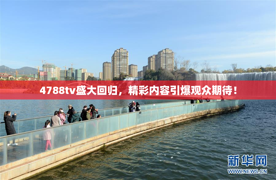 4788tv盛大回归，精彩内容引爆观众期待！