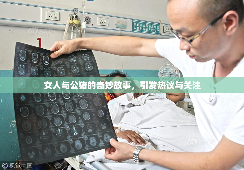 女人与公猪的奇妙故事，引发热议与关注