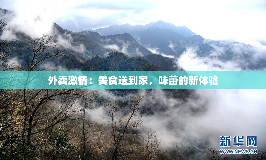 外卖激情：美食送到家，味蕾的新体验
