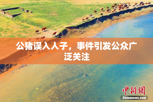 公猪误入人子，事件引发公众广泛关注