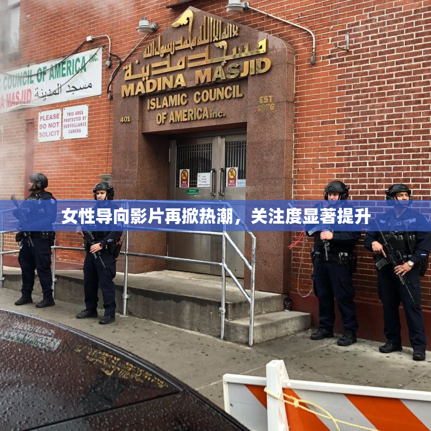 女性导向影片再掀热潮，关注度显著提升