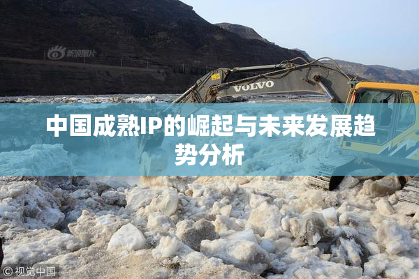 中国成熟IP的崛起与未来发展趋势分析