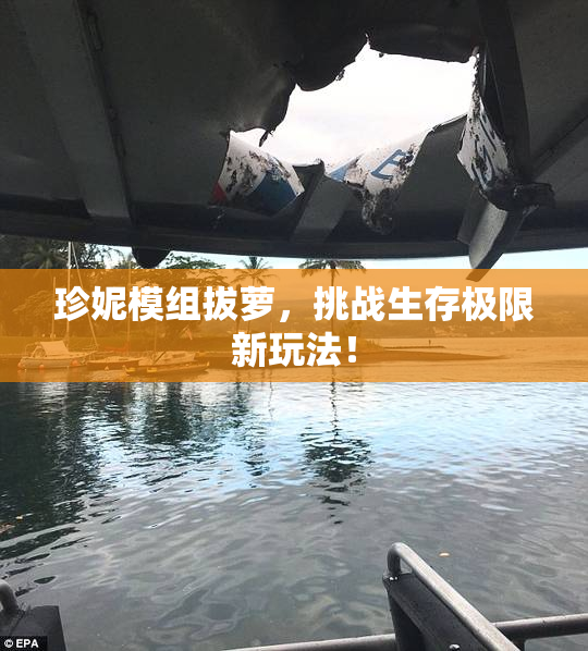 珍妮模组拔萝，挑战生存极限新玩法！
