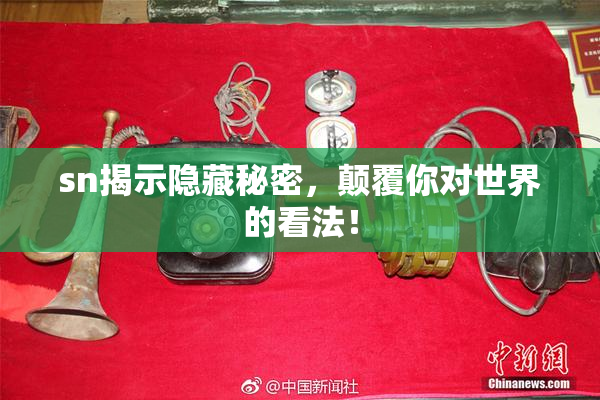 sn揭示隐藏秘密，颠覆你对世界的看法！