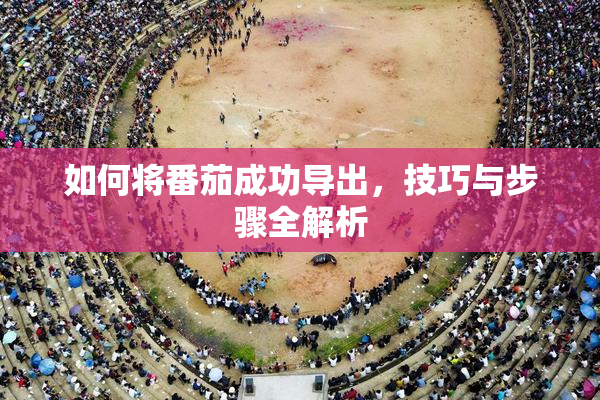 如何将番茄成功导出，技巧与步骤全解析