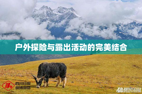 户外探险与露出活动的完美结合