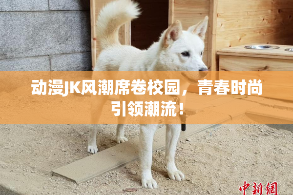 动漫JK风潮席卷校园，青春时尚引领潮流！