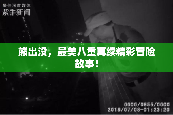 熊出没，最美八重再续精彩冒险故事！
