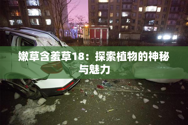 嫩草含羞草18：探索植物的神秘与魅力