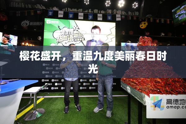 樱花盛开，重温九度美丽春日时光