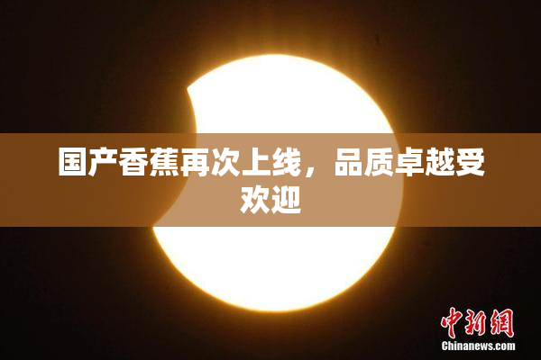 国产香蕉再次上线，品质卓越受欢迎