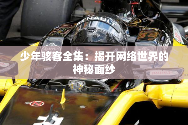 少年骇客全集：揭开网络世界的神秘面纱