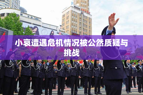 小哀遭遇危机情况被公然质疑与挑战
