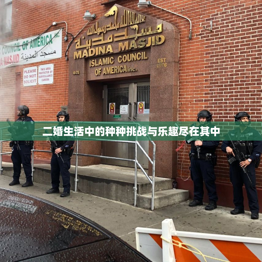 二婚生活中的种种挑战与乐趣尽在其中