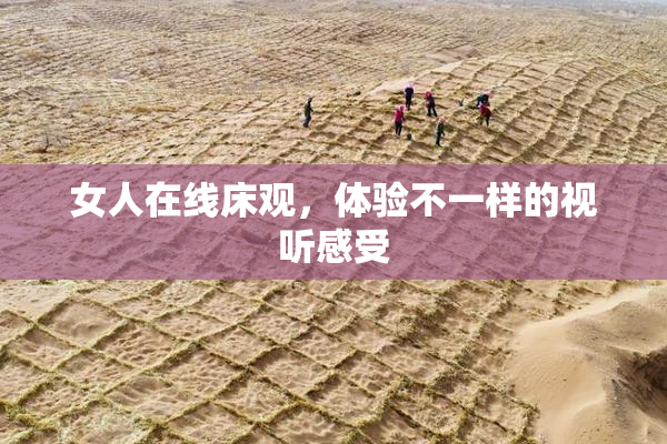 女人在线床观，体验不一样的视听感受