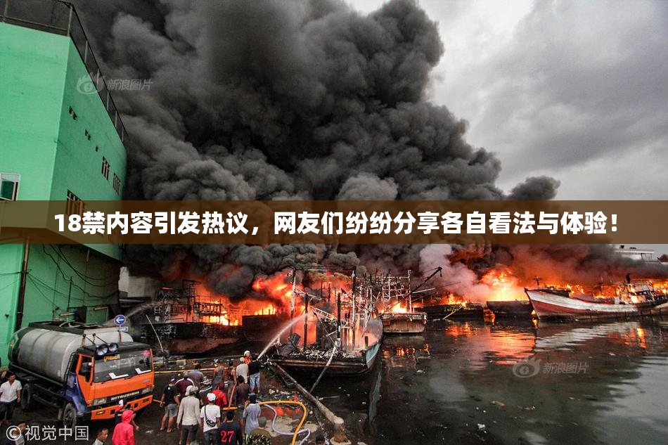 18禁内容引发热议，网友们纷纷分享各自看法与体验！