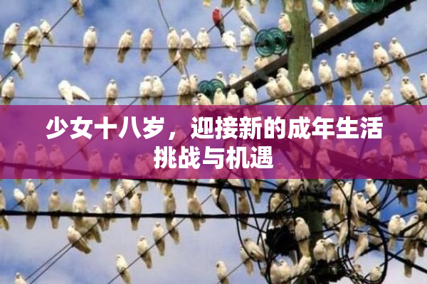 少女十八岁，迎接新的成年生活挑战与机遇