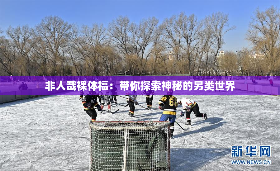 非人哉裸体福：带你探索神秘的另类世界