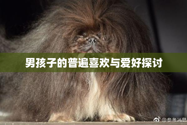 男孩子的普遍喜欢与爱好探讨