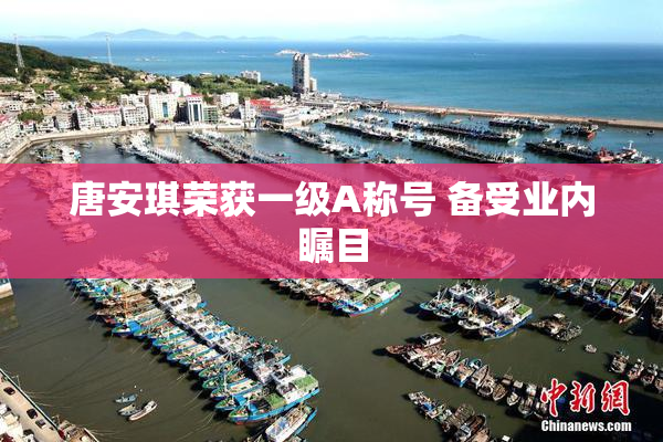 唐安琪荣获一级A称号 备受业内瞩目