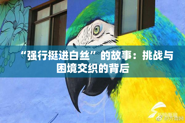 “强行挺进白丝”的故事：挑战与困境交织的背后