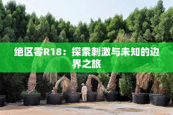绝区零R18：探索刺激与未知的边界之旅