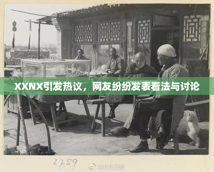 XXNX引发热议，网友纷纷发表看法与讨论