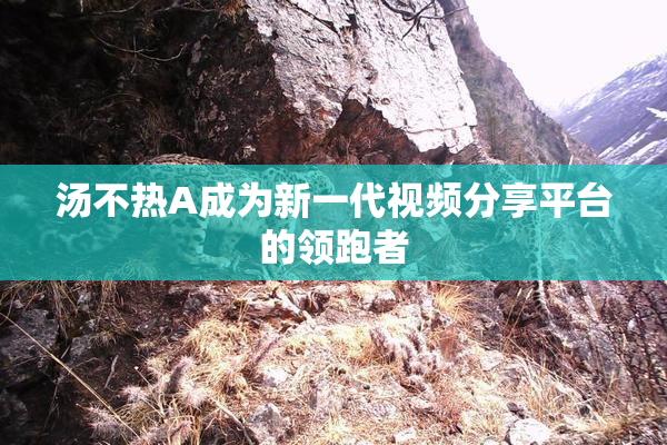 汤不热A成为新一代视频分享平台的领跑者