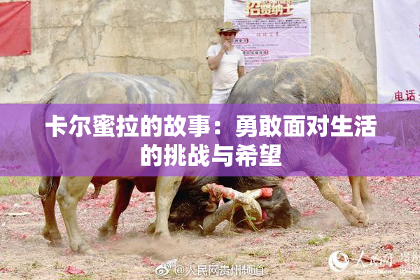 卡尔蜜拉的故事：勇敢面对生活的挑战与希望