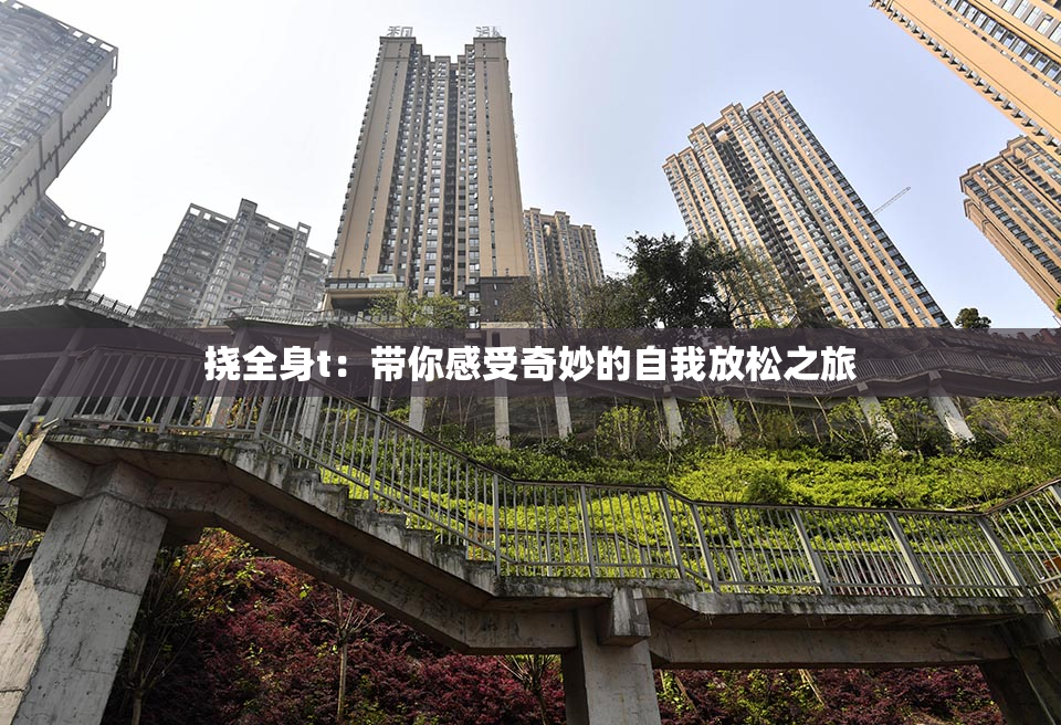 挠全身t：带你感受奇妙的自我放松之旅