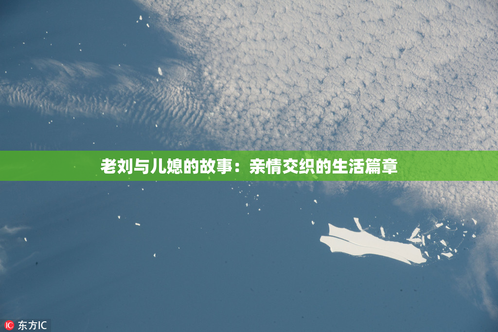 老刘与儿媳的故事：亲情交织的生活篇章