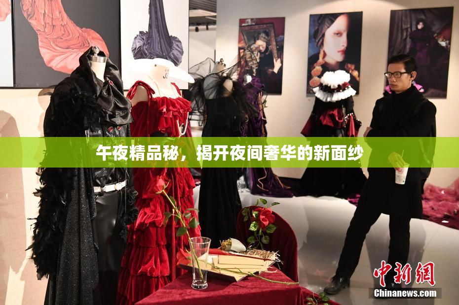 午夜精品秘，揭开夜间奢华的新面纱