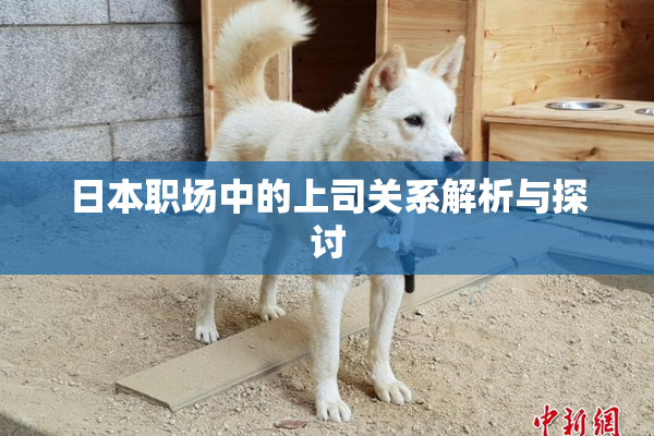 日本职场中的上司关系解析与探讨