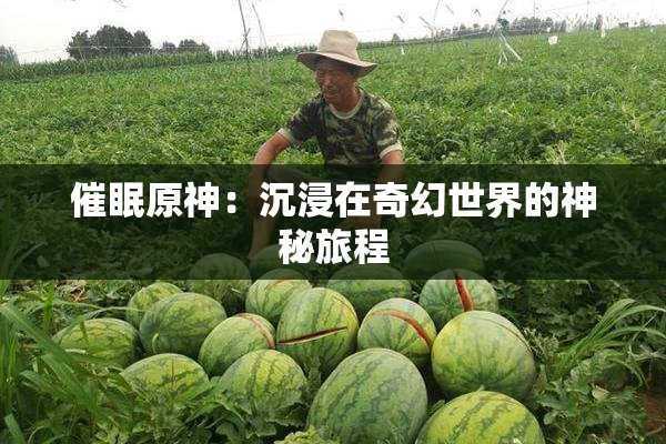 催眠原神：沉浸在奇幻世界的神秘旅程