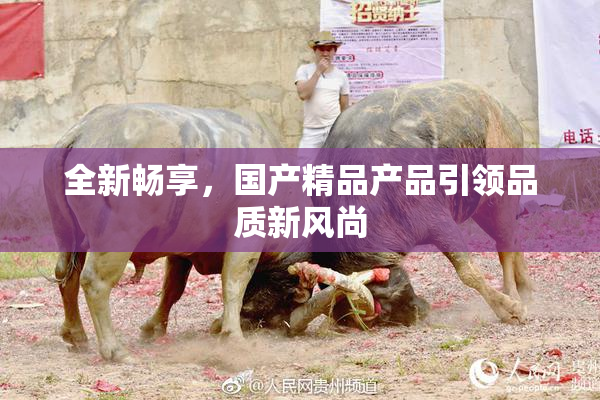 全新畅享，国产精品产品引领品质新风尚