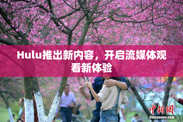 Hulu推出新内容，开启流媒体观看新体验
