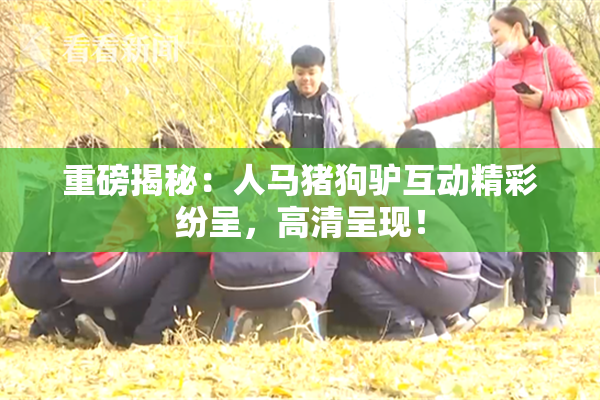 重磅揭秘：人马猪狗驴互动精彩纷呈，高清呈现！