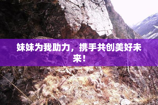 妹妹为我助力，携手共创美好未来！