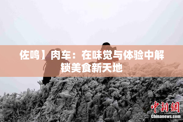 佐鸣】肉车：在味觉与体验中解锁美食新天地